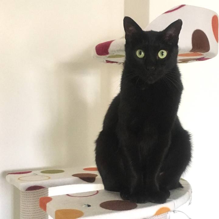 257a9f38 275d 4c18 8616 5b663a715b65