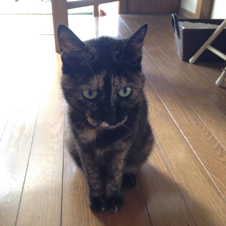 257b45f1 3ba6 4f51 b9b7 82a687b05085