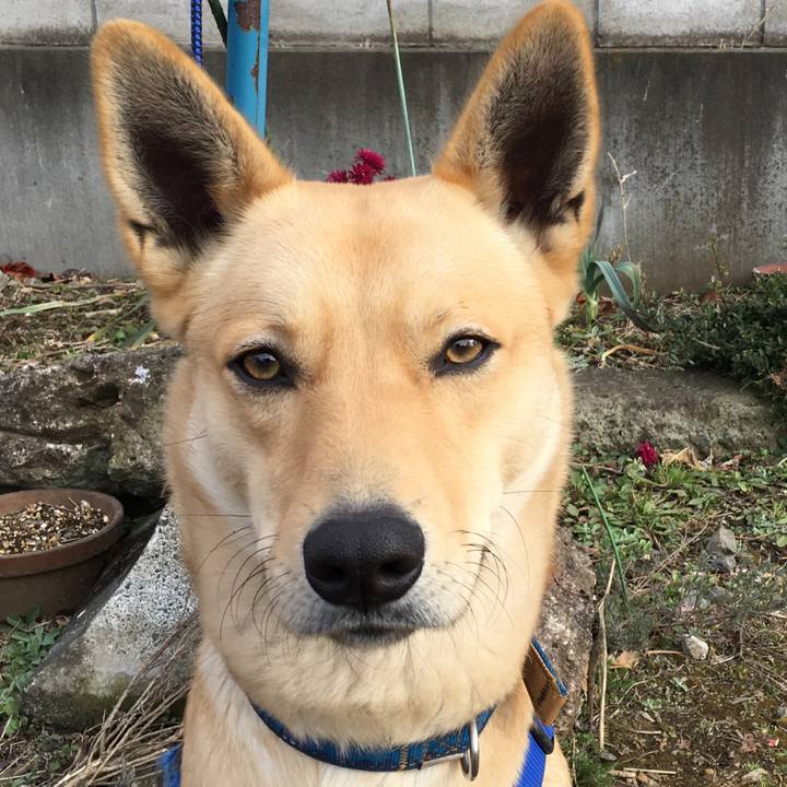 257ba2f0 67b9 43c6 ab67 b09416a61412