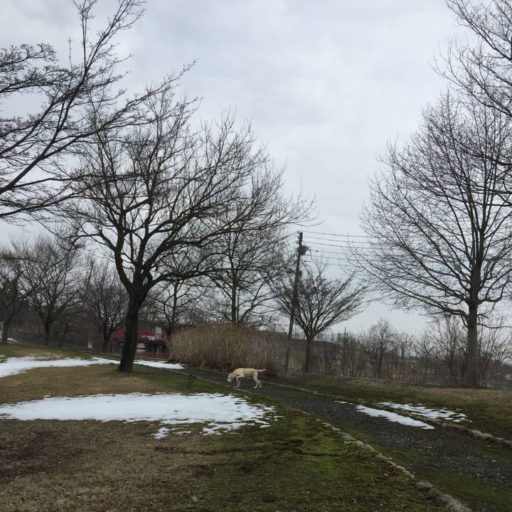 257bbd4d 8aa4 438f 90a8 8397bd7d3eca