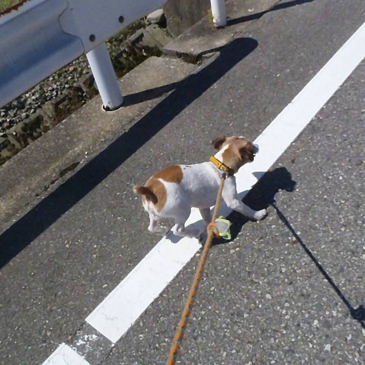 257c64b1 7ed5 48e1 b853 75b385a9233f