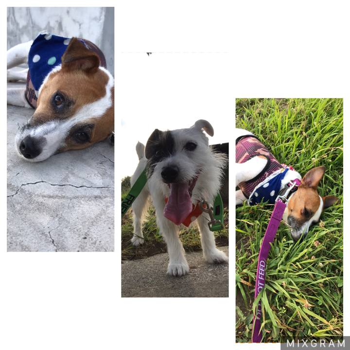 257c7896 a495 4ee8 82c5 04cccd768deb