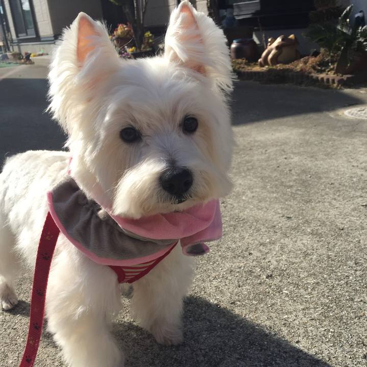 257ca186 7313 426c b4e8 9ebc263eb3d3