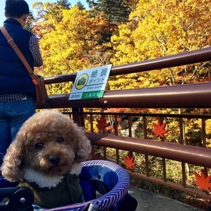 257ce35e 6967 4037 9816 052d4c3ed277