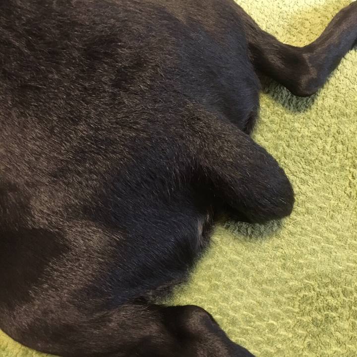 257db434 8f12 4996 8c45 af550532548c