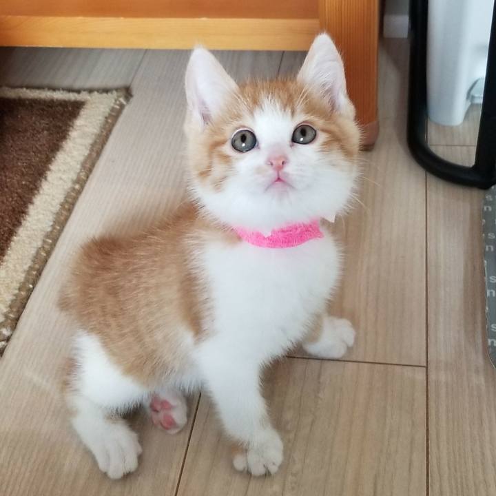 257db5fa 8471 40d1 9bbf 94ce4e652d30