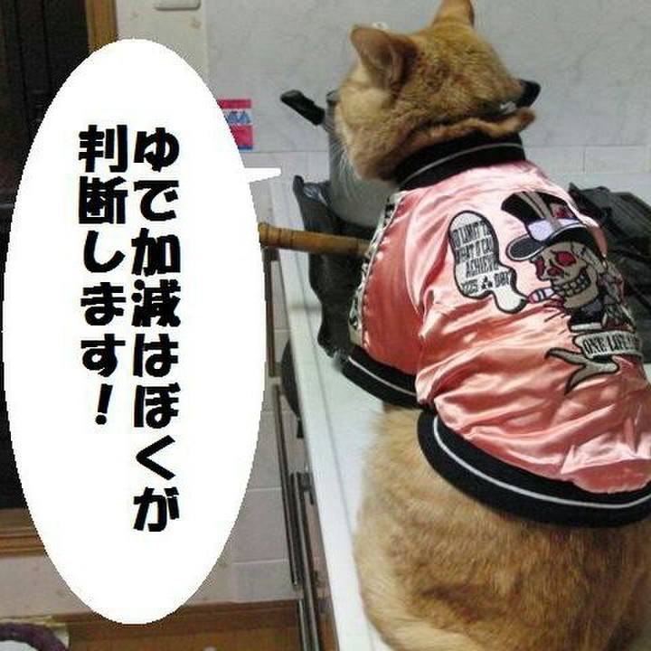 257e0908 a51a 4c9c abe6 632daa089784