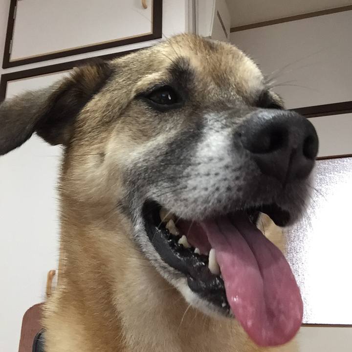 257ee582 c1a8 4b50 b30a 7fbd63c7d7e4