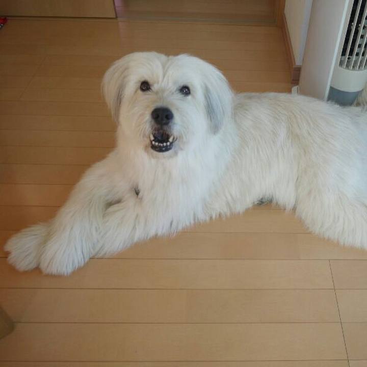 257fbdd0 9e84 4860 a5fa 6e5ce06b1c72