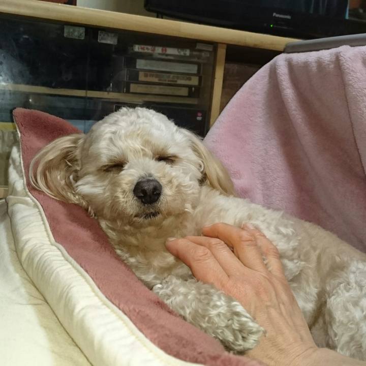 257fca44 121e 48cd a722 8a93b79b9884