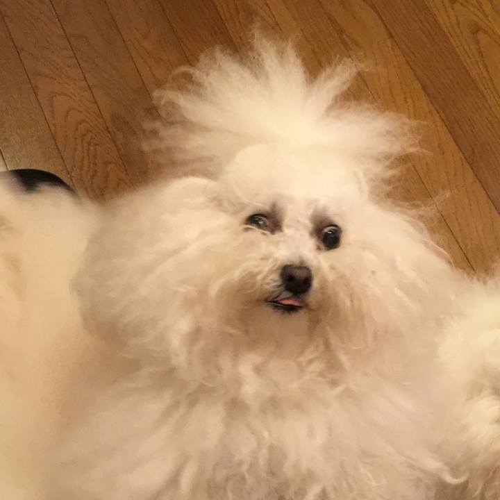 257febff e3b6 4465 976c 76a0a762be06