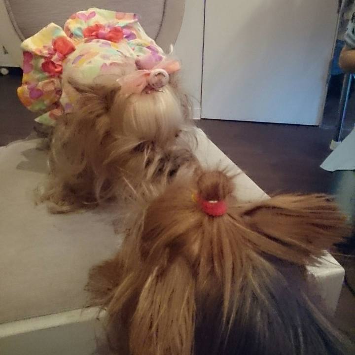 2580450a 7450 4c6a bee8 19bed8aba96e