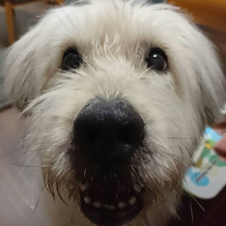 25805a5b 3111 4168 a580 1703c476cba0