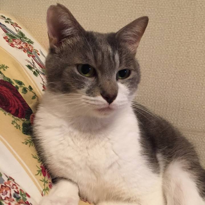 2580aacd 11f3 42ba 91a8 8c74db618a66