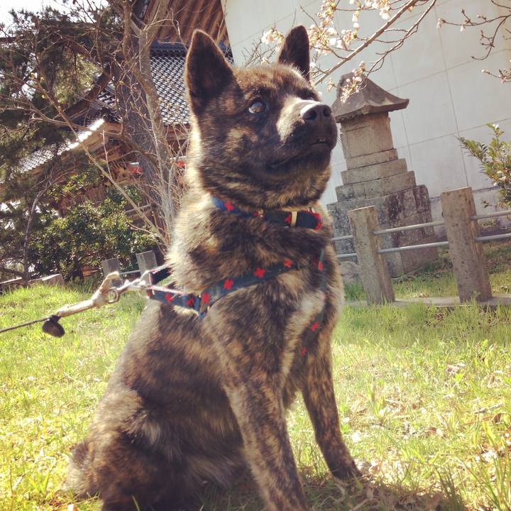 25810932 ec58 4cd0 8776 6dfb0c89964e