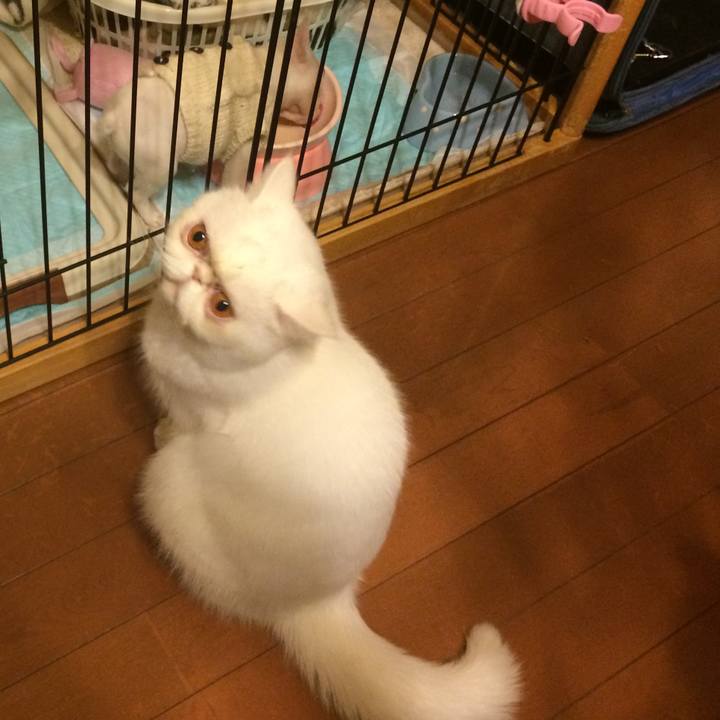 258125ce 69a2 416c b4e0 dde5cc880193