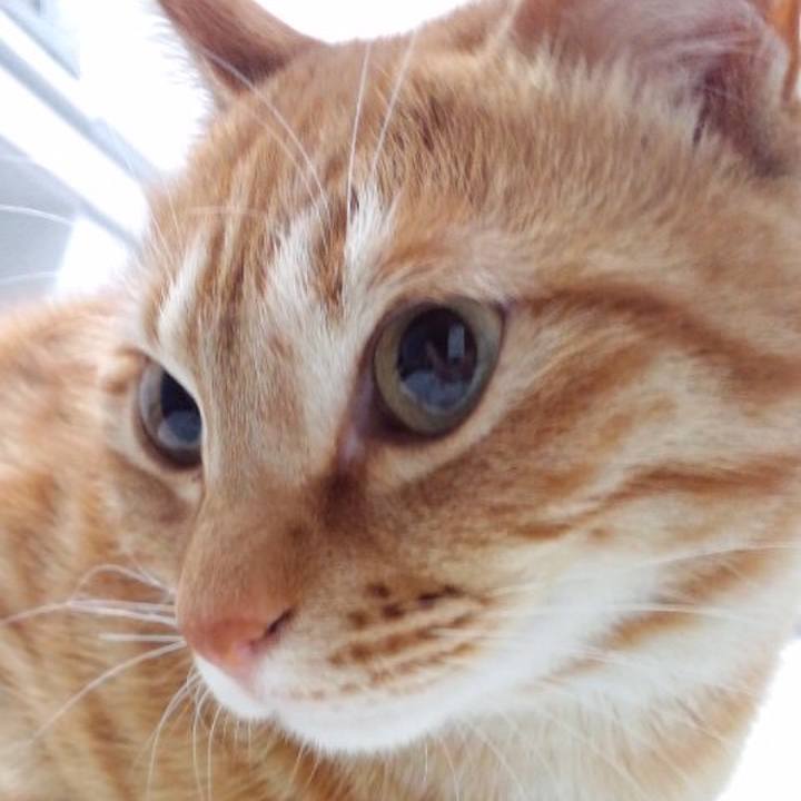 2581688e 9d4d 4100 a8d2 47a61d5b767a