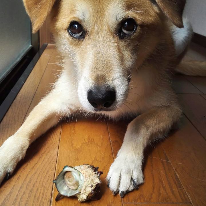 25821488 e008 43fd b1b1 f04c6345084f