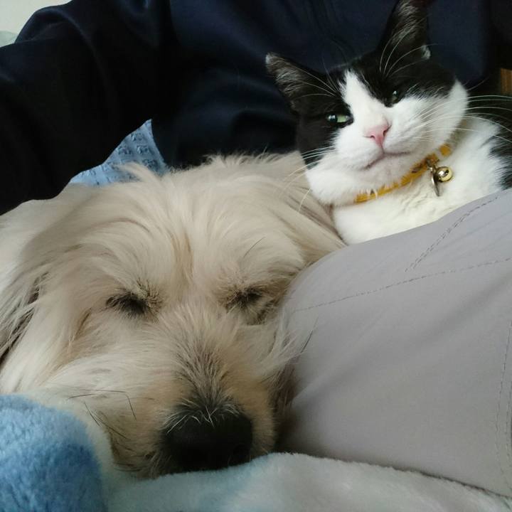 2582b042 8056 4681 8cdb 13e98b5baa9f