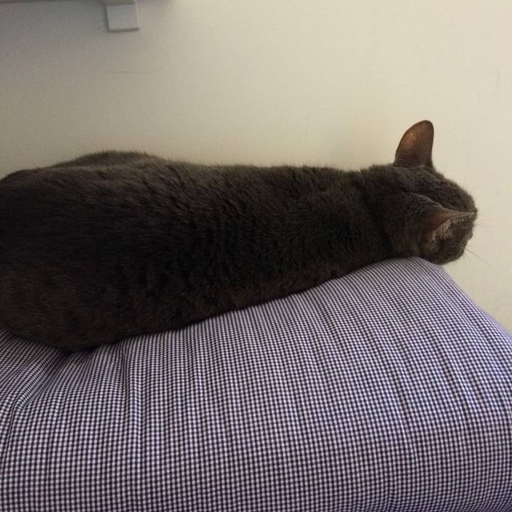 2582eef1 428a 49ad 9b00 40ef09f9f0df