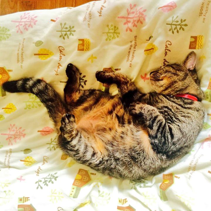 25832e23 aae6 46af b5f8 be4fec98f6c5