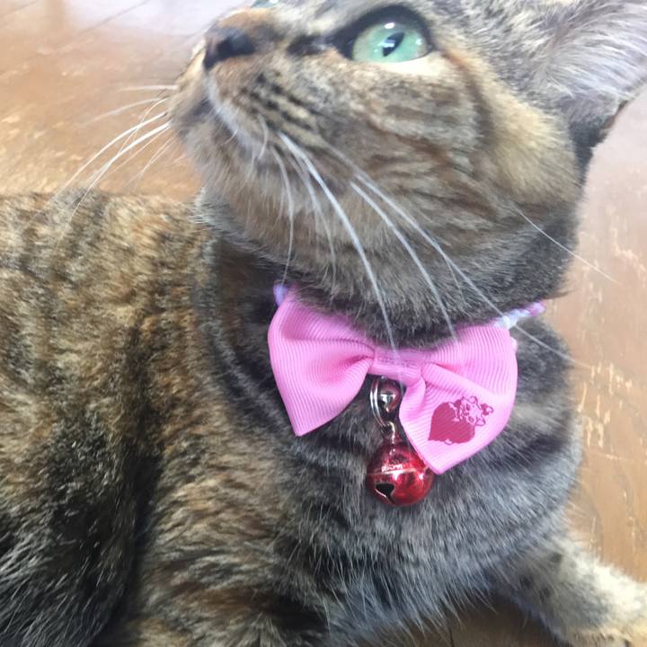 25836fe9 adc1 4791 bd2a 163c1a2aa47a