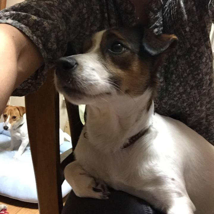 258393b5 6ec1 43ec a20f 8b3a0b433424