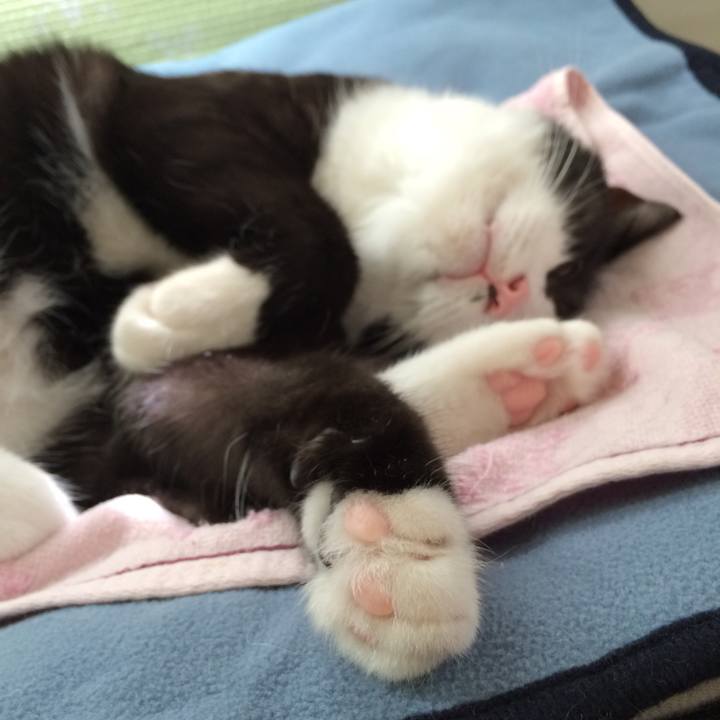 2583d728 0719 40c9 b91f a3e179117445