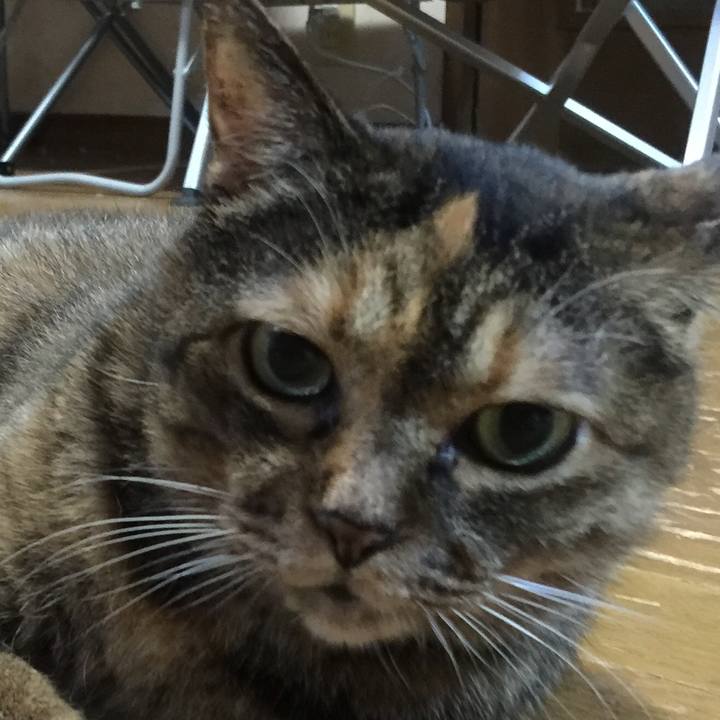 2583df54 fc58 4d24 bf33 eed95d5beae5