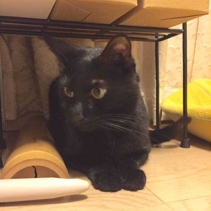 25842b95 ff08 49eb a161 1f7514f03ab7