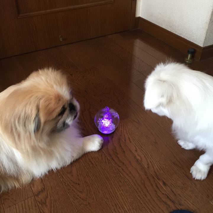 2584586f c6d2 45c0 b20a 480b25ffd620