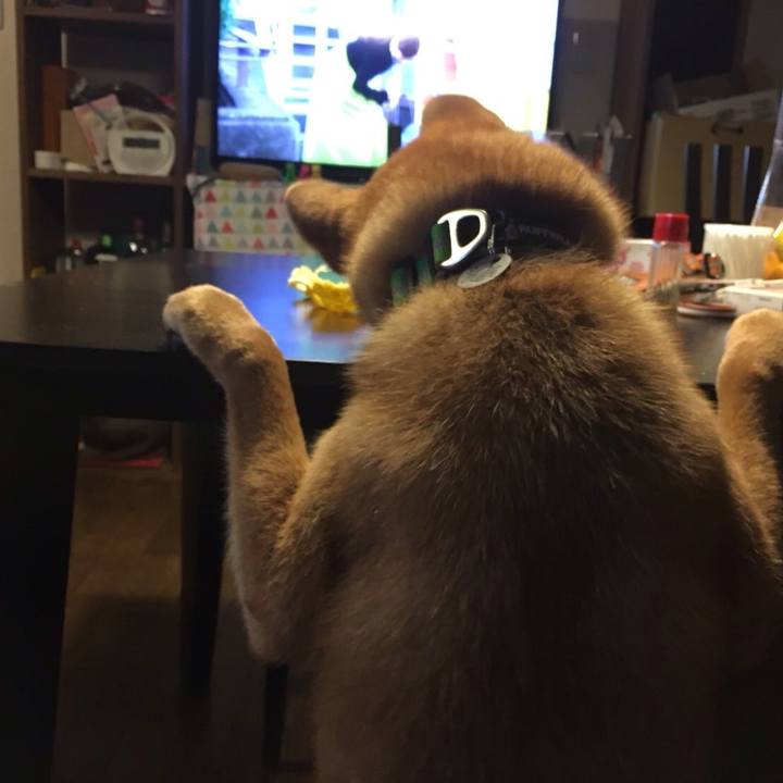 2584bcaa 9370 466b a69c e3fb2ac1d0c7