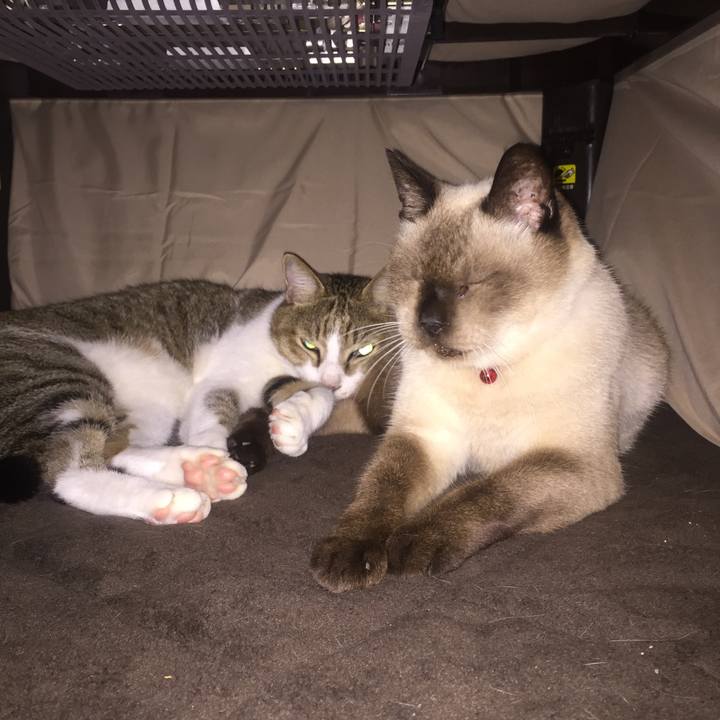 2584d4af 2c26 4c31 9e04 656d42a21a69