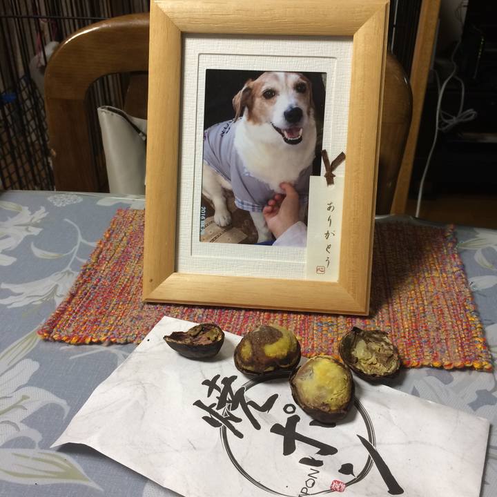 25877456 3865 4971 b151 3488adc7992e