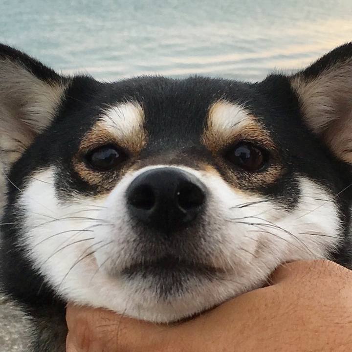 2587fcad b952 4216 a087 2a9ae54e7480