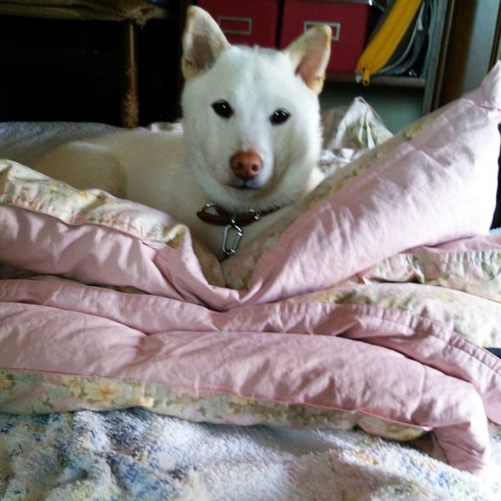 25886813 15c9 456d 84c3 8a45a2a01f25