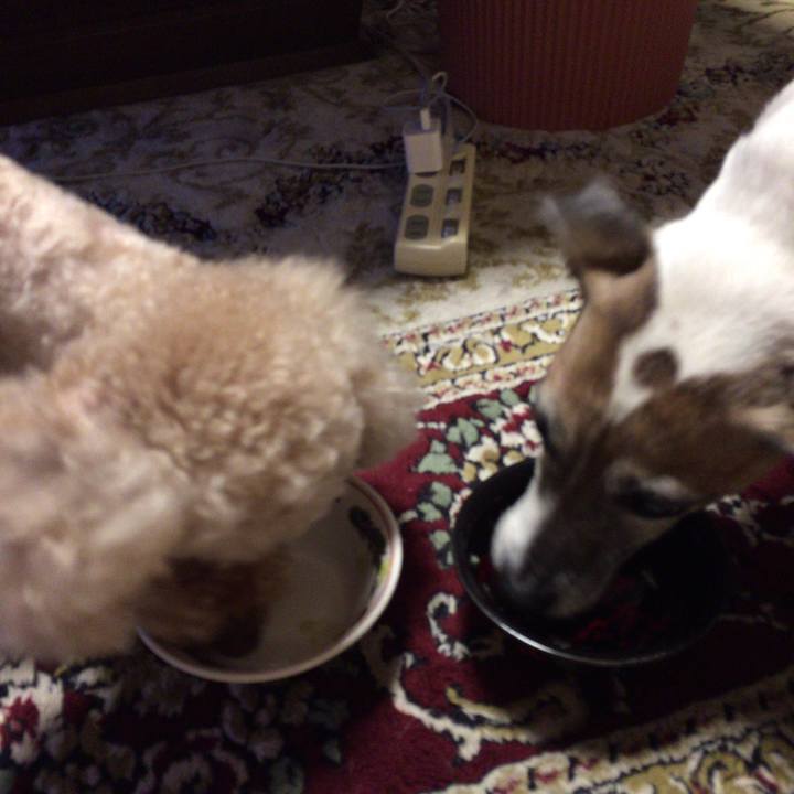 258877e3 8f15 4ee7 a2e1 0b762c1eeead