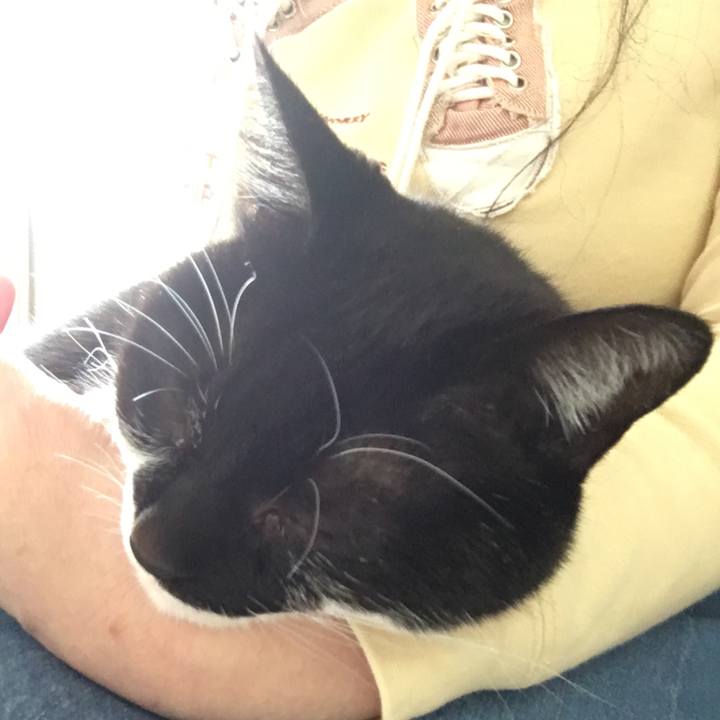 25892f48 3086 46f0 ae17 7f84c82f8f93