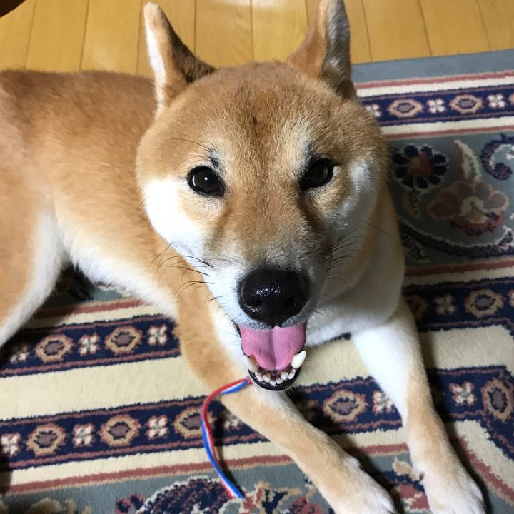 25897379 d741 4468 9861 8594384fc345