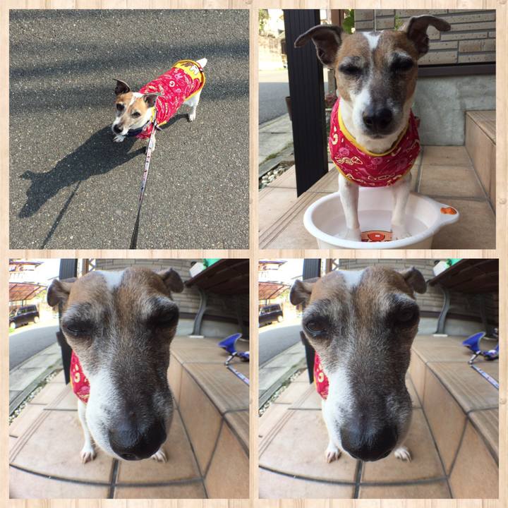 2589ed3a 9f5e 4b90 aabe ead4b3ed3e40