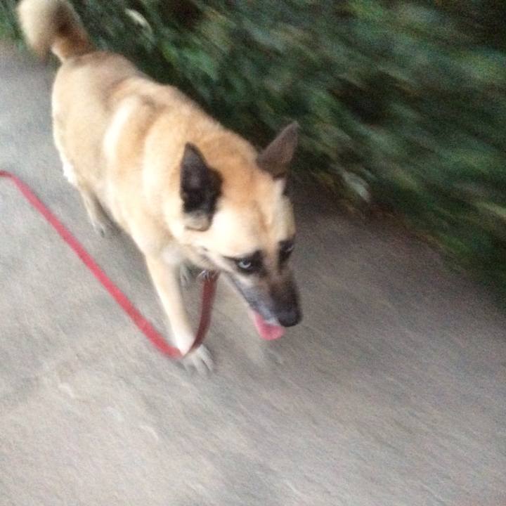 258a178f 8e3f 411a 84e1 c83426873a73