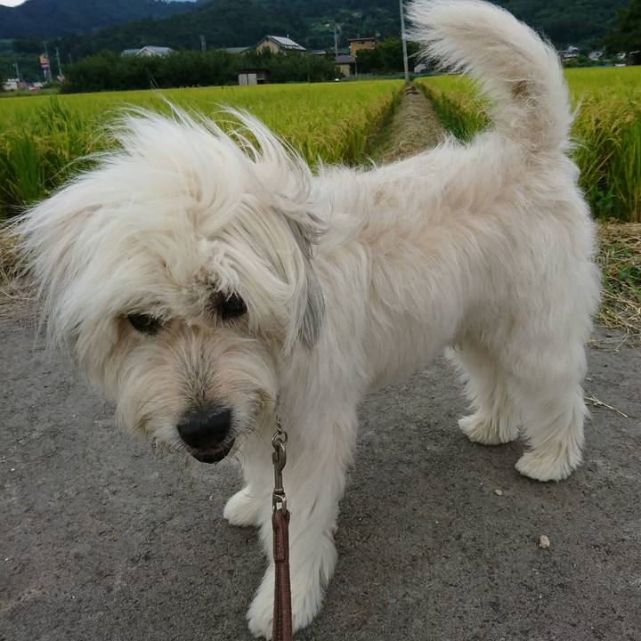 258a466b 21f2 4fed b241 a1408734ae47