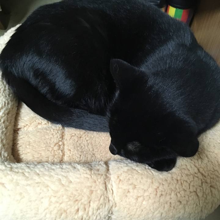 258aa9f4 b3ae 434e bbd4 f1e3190a19ac