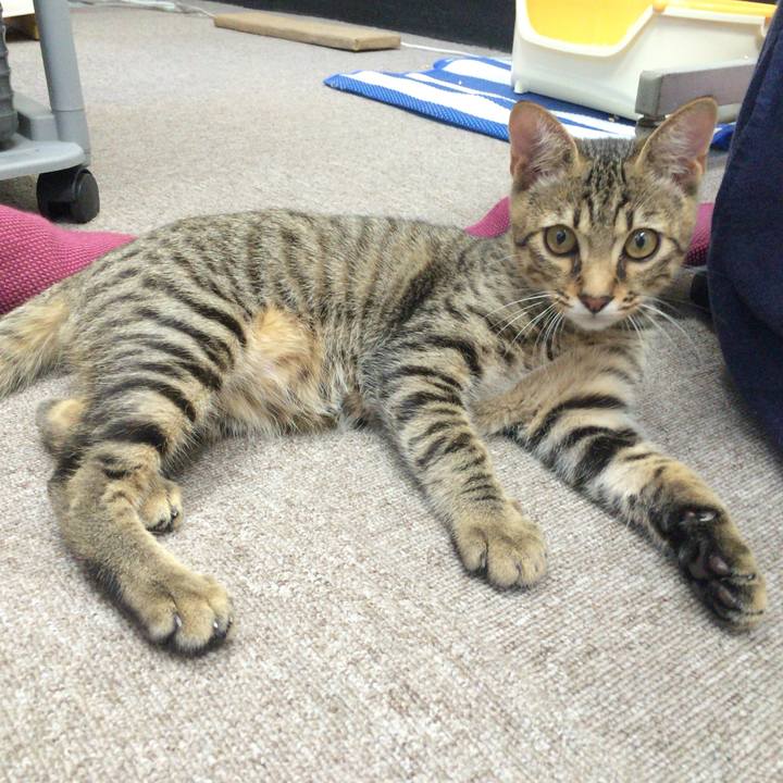 258b5b65 2867 49f5 99c9 cbede13fd616