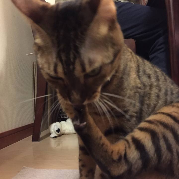 258bbe4d a1fc 4a35 ac11 54861c64e860