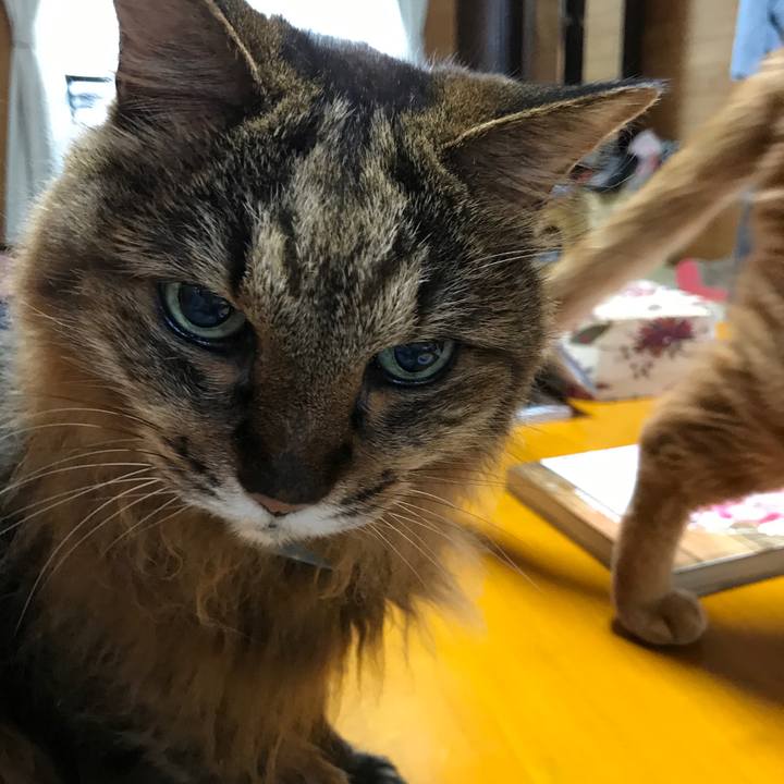 258c53b1 73a6 49b8 899d e78cd1aca44a