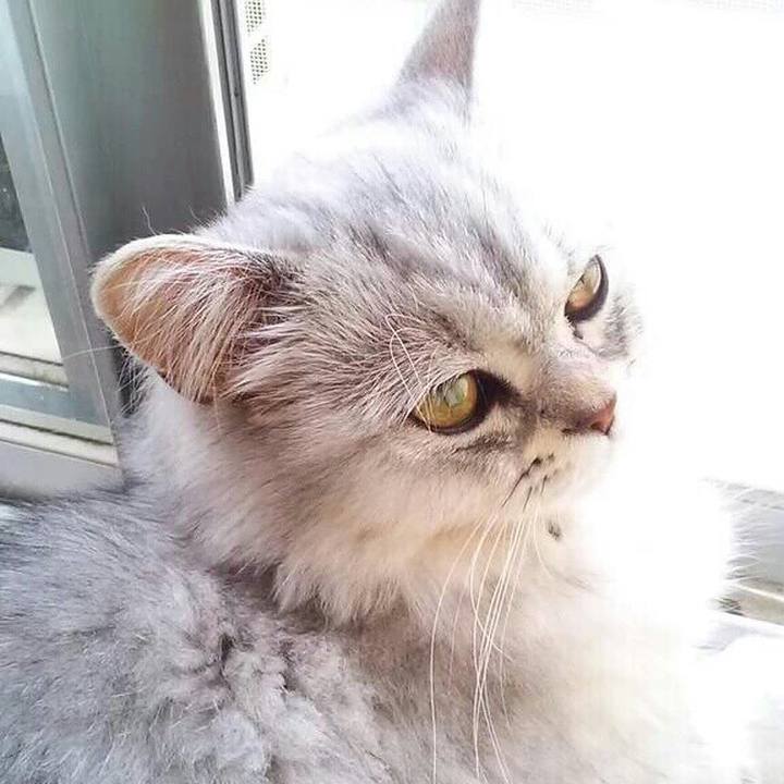 258d61fd 6dc8 44f4 97f4 376acd4746c5