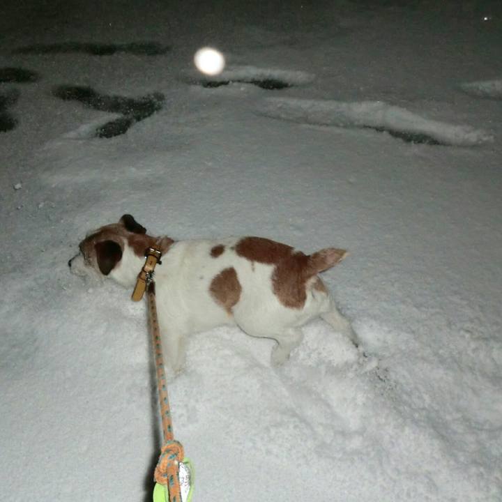 258df537 efba 48db b4b5 a8c31d622cbc