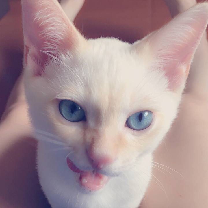 258e4b8e c05d 4041 9a29 745aae68daa1