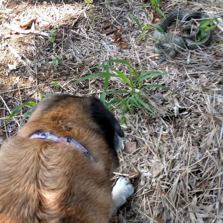 258e7094 0b1d 4824 b6c0 013dc83b3cb2